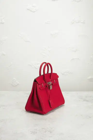 hermes Hermes Togo Birkin 25 Handbag | Thumbnail 4
