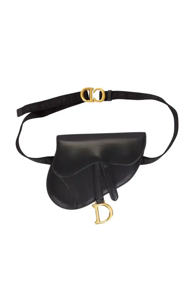 FWRD Renew Dior Saddle Belt Bag