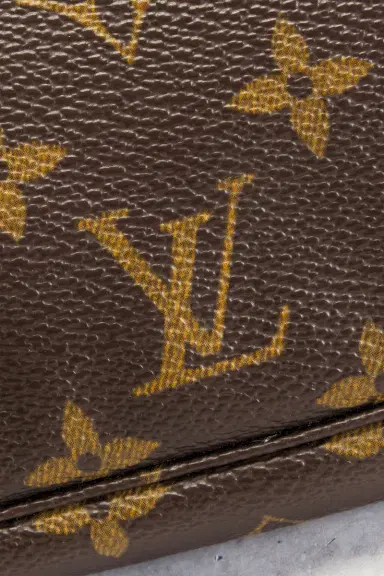 Louis Vuitton Monogram Pochette Accessoires Shoulder Bag | Thumbnail 8