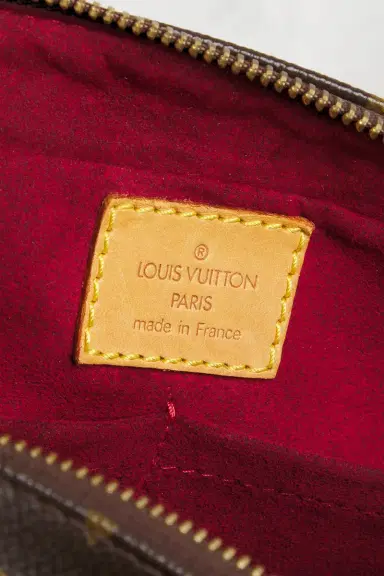 Louis Vuitton Monogram Viva Cite MM Shoulder Bag | Thumbnail 5