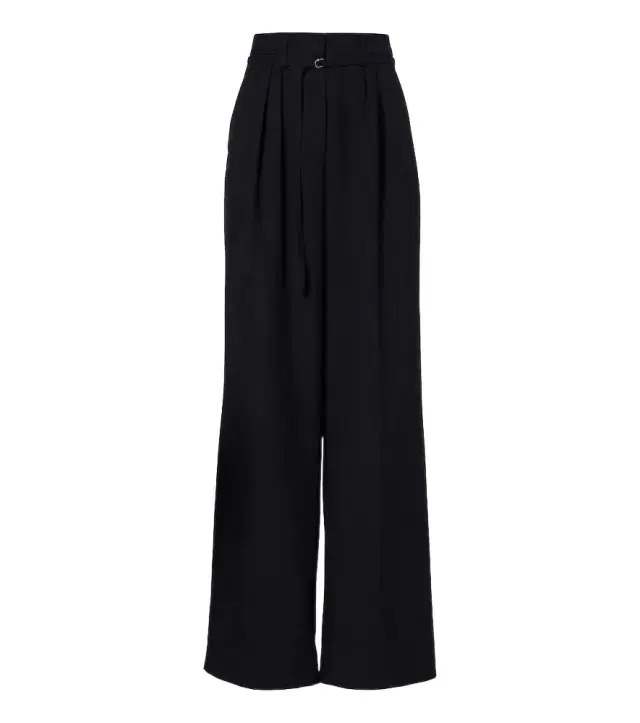 Dries Van Noten Belted pleated wool wide-leg pants