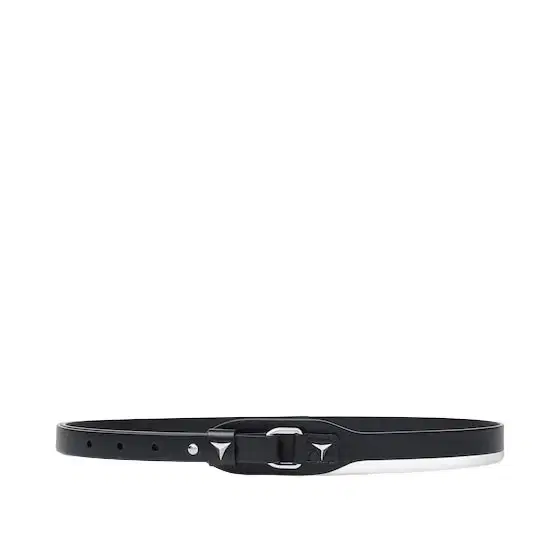 Belt decorated with two Cuneo elements, a new style Belt decorated with two Cuneo elements, a new style
