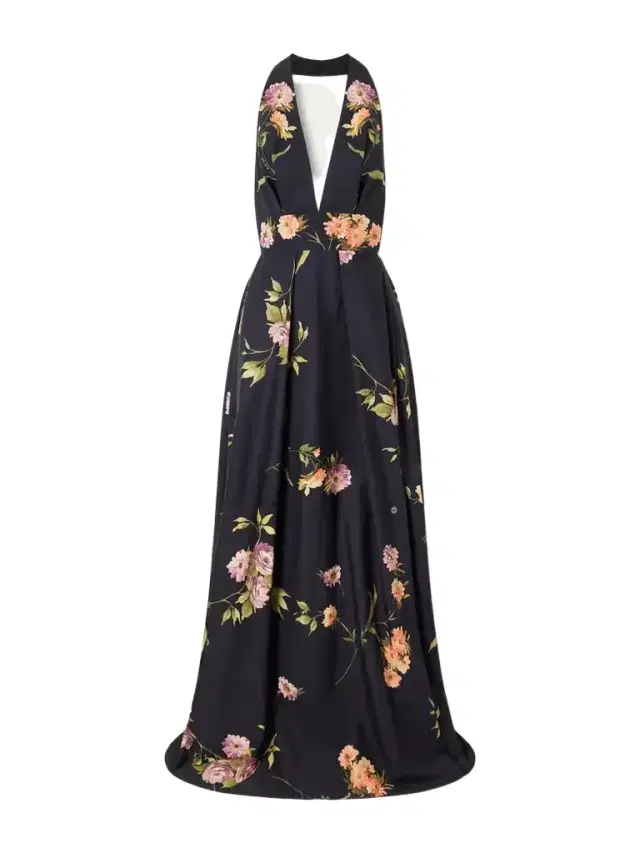 Elie Saab Pleated Floral-print Cotton-poplin Halterneck Gown