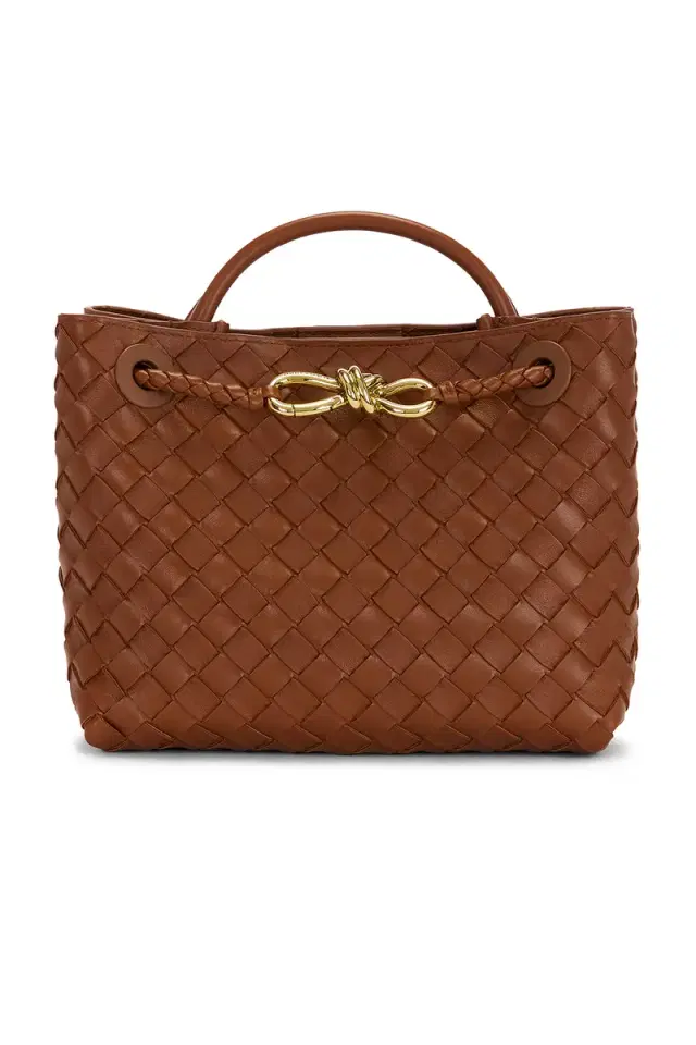 Bottega Veneta Small Andiamo Bag