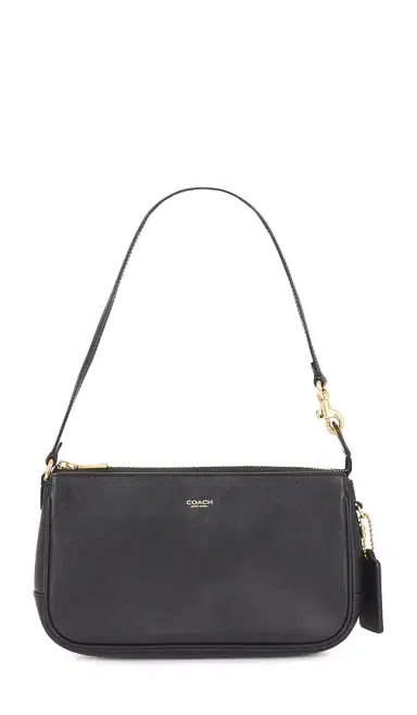 Coach Natural Grain Leather Plaza Bag | Thumbnail 1