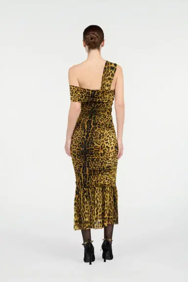 Roberto Cavalli Midi Dress With Jaguar Skin Print | Thumbnail 3