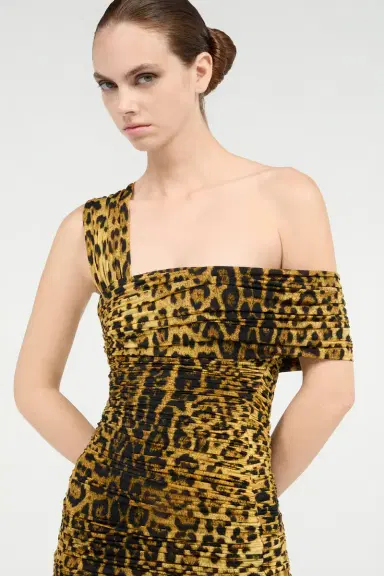 Roberto Cavalli Midi Dress With Jaguar Skin Print | Thumbnail 5