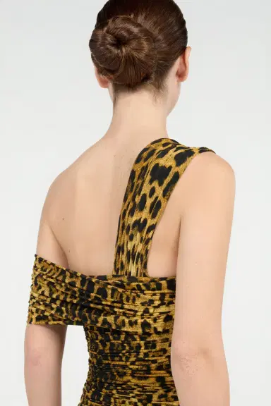 Roberto Cavalli Midi Dress With Jaguar Skin Print | Thumbnail 6