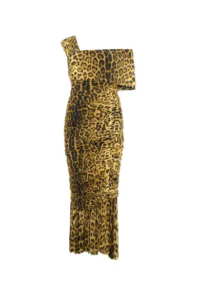 Roberto Cavalli Midi Dress With Jaguar Skin Print | Thumbnail 1