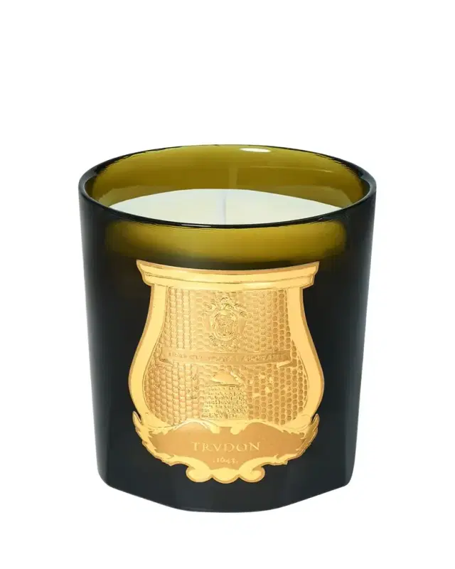 Trudon Ernesto Leather & Tobacco Candle, 9.5 oz.