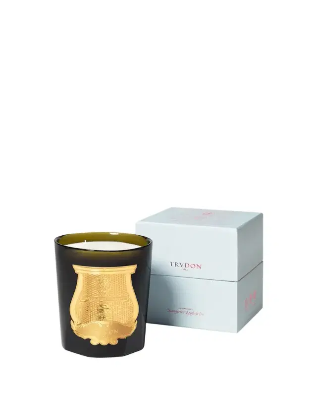 Trudon Abd El Kader Intermezzo Candle - Moroccan Mint Tea, 28.2 oz.