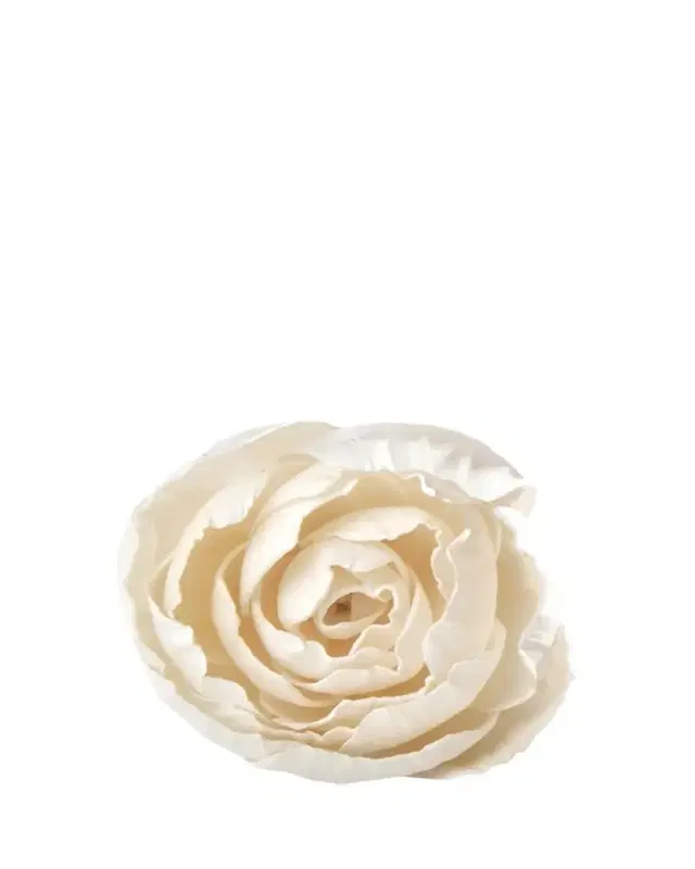 Agraria Peony Diffuser Flowers