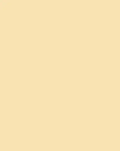 Anita Ko 18K Yellow GoldTwo Row Baguette Diamond Coil Ring | Thumbnail 3