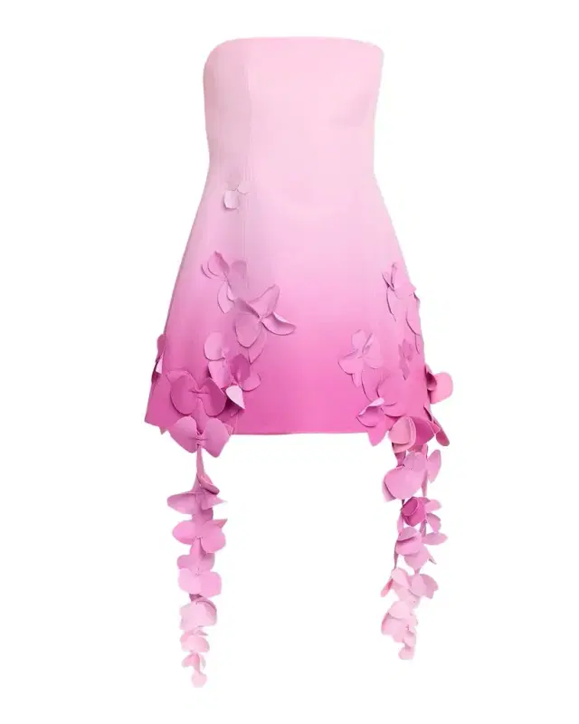 Acler Forever Young Sandia Ombré Strapless Mini Dress