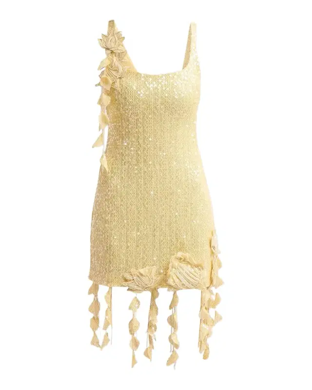 PatBO Iara Sequin Crochet Mini Dress