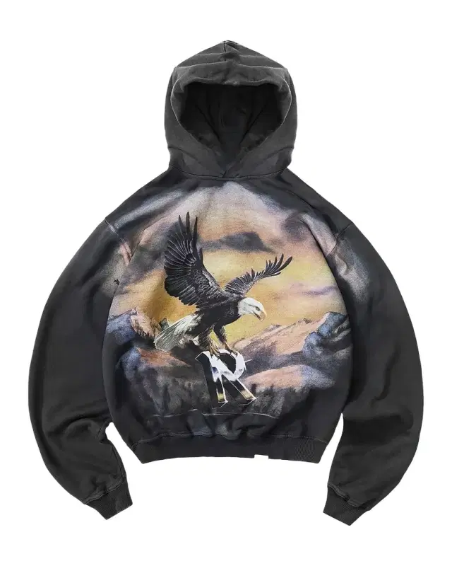 REPRESENT Men 's Graphic Cotton Hoodie