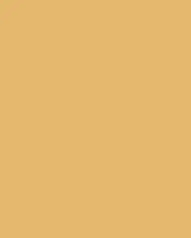 Wildwood Phoebe 40" 8-Light Chandelier | Thumbnail 4