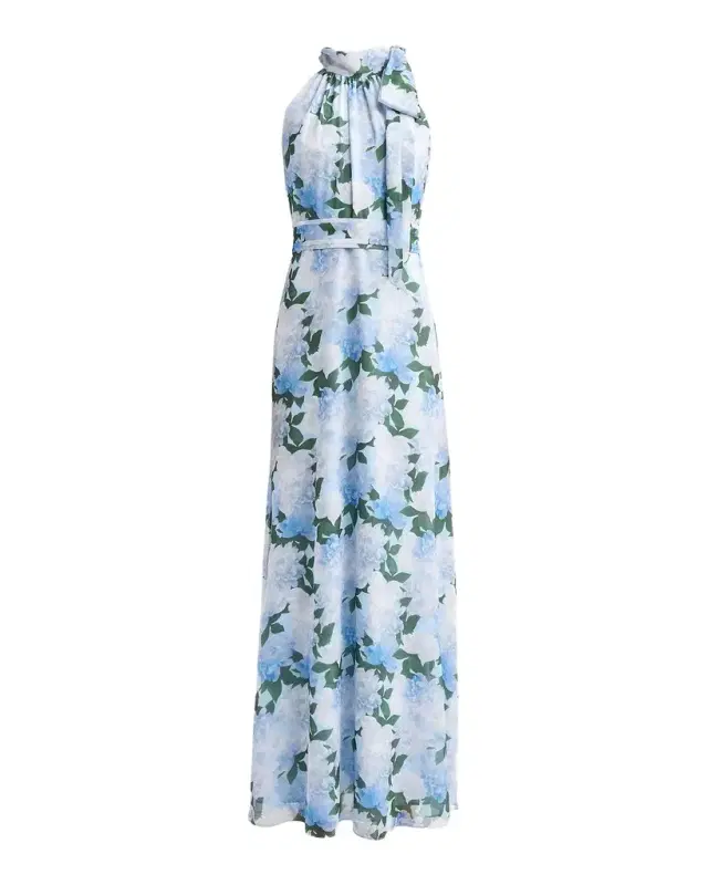 SACHIN BABI Diana Chiffon Floral Gown