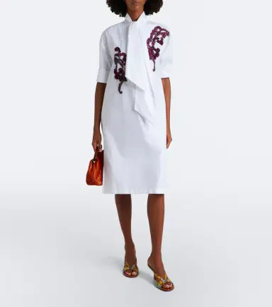 Dries Van Noten Embroidered cotton poplin midi dress | Thumbnail 4 Dries Van Noten Embroidered cotton poplin midi dress | Thumbnail 4
