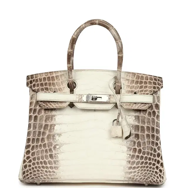 HERMÈS Pre-owned Hermes Birkin 30 Himalaya Niloticus Crocodile Palladium Hardware