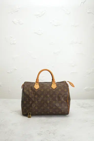FWRD Renew Louis Vuitton Monogram Speedy 30 Handbag | Thumbnail 9
