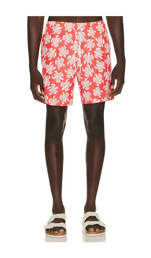 Trunks Surf & Swim Co. Sano 6.5 Swim Short