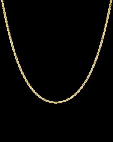 Orly Marcel 18K Rope Chain Necklace, 18"L | Thumbnail 2