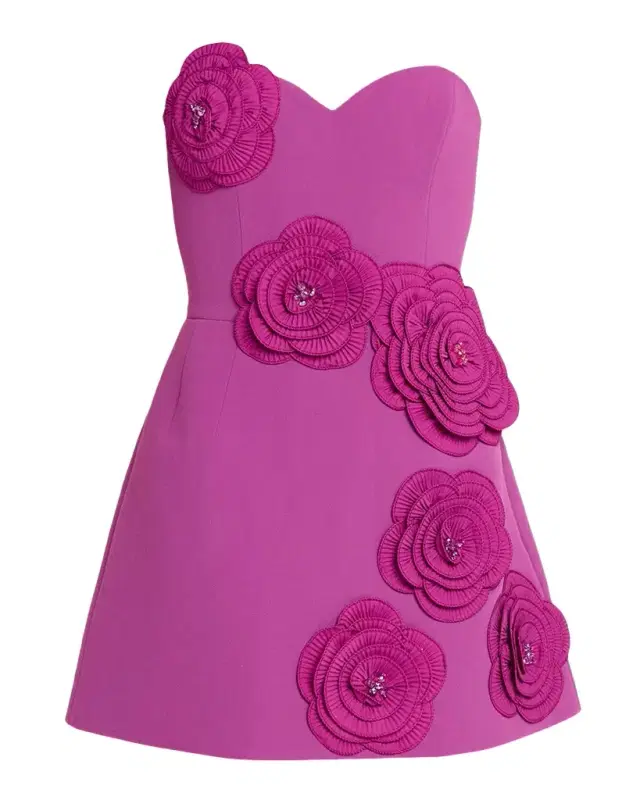 HELSI Gia Strapless Floral Applique Mini Dress