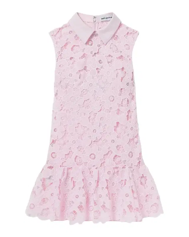 Self-Portrait Floral Lace Collared Mini Dress