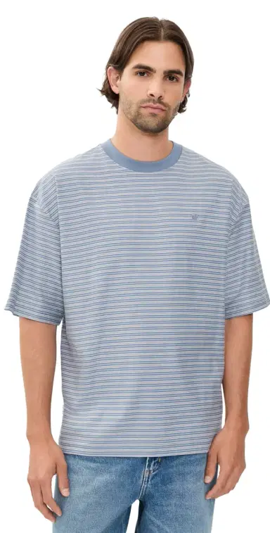 Carhartt WIP Dupree T-Shirt Dupree Stripe/hady Blue | Thumbnail 1