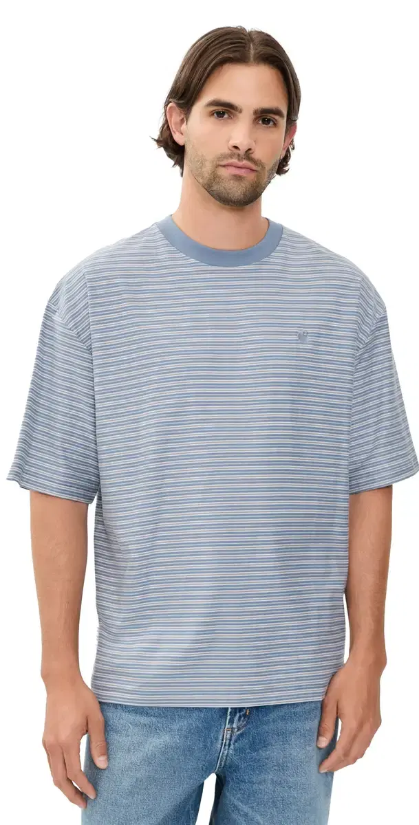 Carhartt WIP Dupree T-hirt Dupree tripe/hady Blue