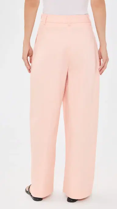 The Latest Petite Ester Tecnico Tinto Pants | Thumbnail 3