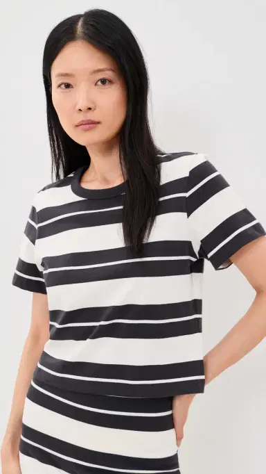 Z Supply tellan triped Tee Ash Black | Thumbnail 2