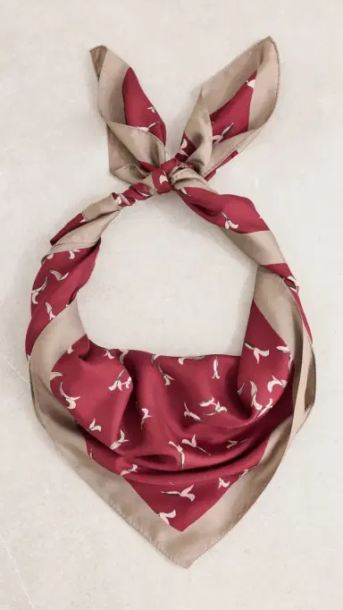 Altuzarra Botanical Scarf | Thumbnail 2