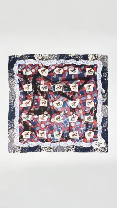 Acne Studios Volta Check Scarf Blue | Thumbnail 4 Acne Studios Volta Check Scarf Blue | Thumbnail 4