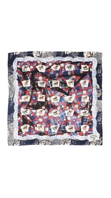Acne Studios Volta Check Scarf Blue | Thumbnail 6 Acne Studios Volta Check Scarf Blue | Thumbnail 6
