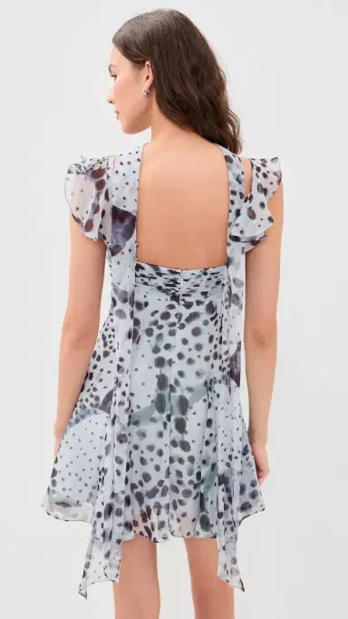 Amur Reverie Printed Mini Dress | Thumbnail 3 Amur Reverie Printed Mini Dress | Thumbnail 3