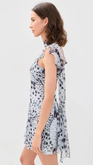 Amur Reverie Printed Mini Dress | Thumbnail 4 Amur Reverie Printed Mini Dress | Thumbnail 4