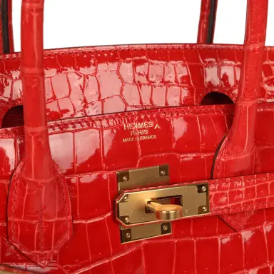 HERMÈS Hermes Birkin 30 Geranium Shiny Porosus Crocodile Gold Hardware | Thumbnail 7