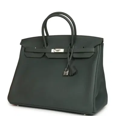 HERMÈS Hermes Birkin 40 Vert Mangrove Togo Palladium Hardware | Thumbnail 5