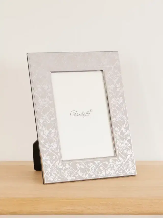 Christofle Les Fables Stainless Steel Frame