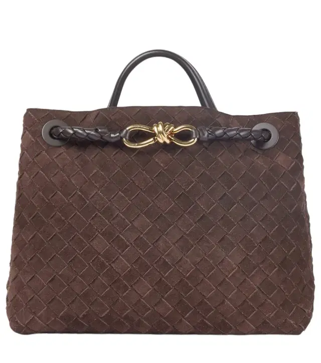 Bottega Veneta Andiamo Medium suede tote bag