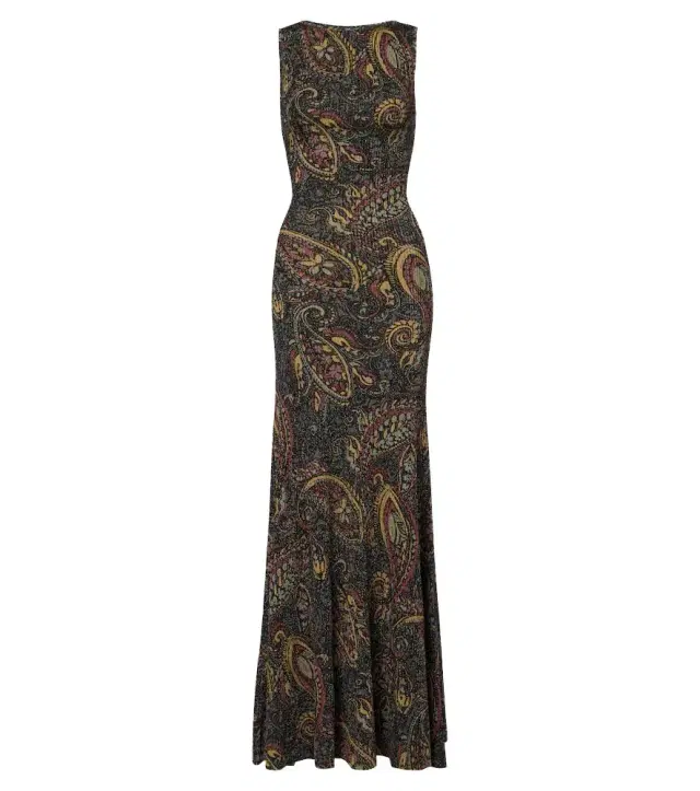 Etro Printed ribbed-knit maxi dress