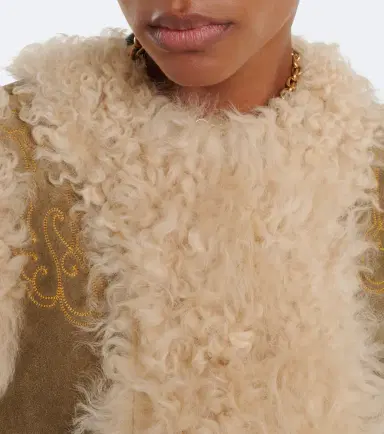Etro Shearling-lined embroidered vest | Thumbnail 6