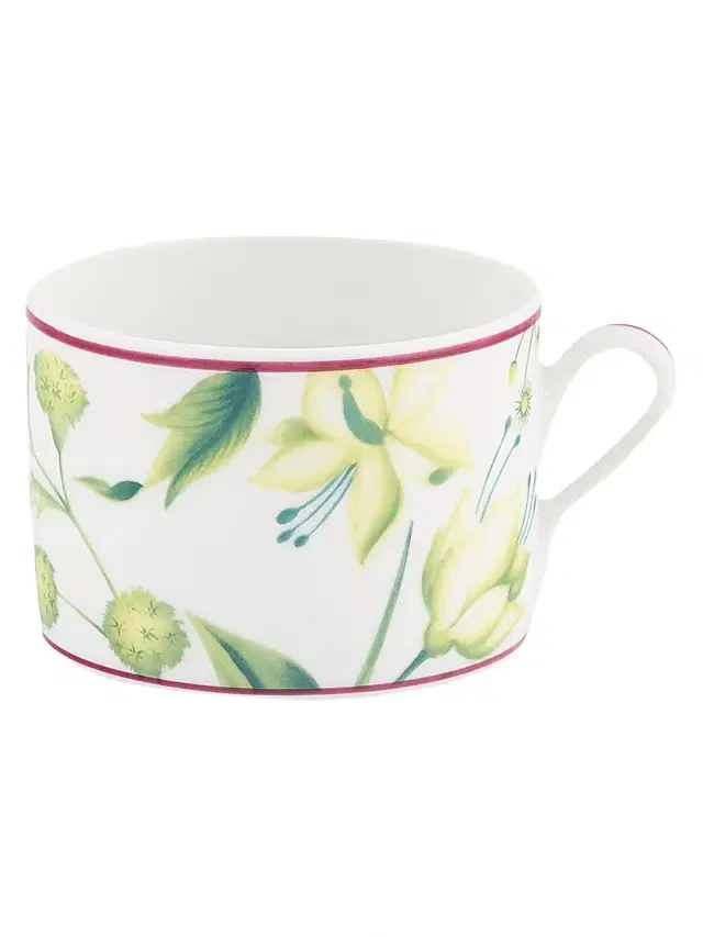 Ginori 1735 Florenza Porcelain Tea Cup - Green White