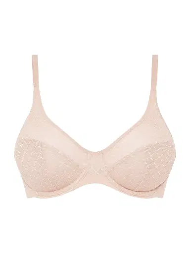 Chantelle Women's Norah Mesh Molded Bra - Rose - Size 40E | Thumbnail 1