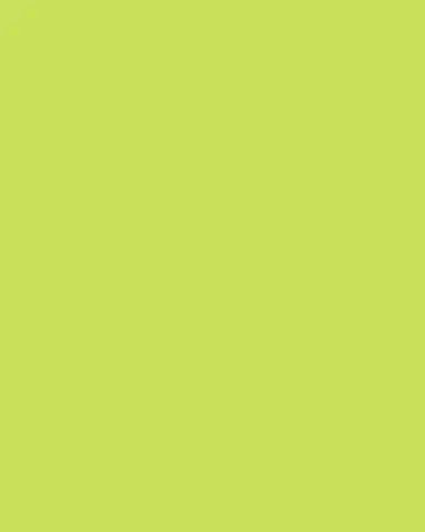 Saint Louis Crystal Royal Small Box, Chartreuse | Thumbnail 2