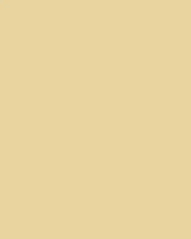 Emily P. Wheeler 18K Yellow Gold Dash Ring with Ombré Gemstones and Enamel | Thumbnail 3 Emily P. Wheeler 18K Yellow Gold Dash Ring with Ombré Gemstones and Enamel | Thumbnail 3