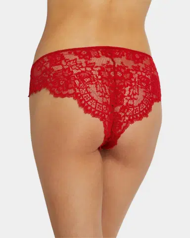 Wolford Belle Fleur Lace Bikini Brief | Thumbnail 2 Wolford Belle Fleur Lace Bikini Brief | Thumbnail 2