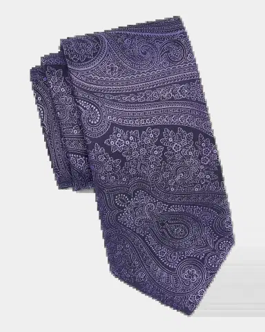 Canali Men's Paisley Woven Silk Tie | Thumbnail 2